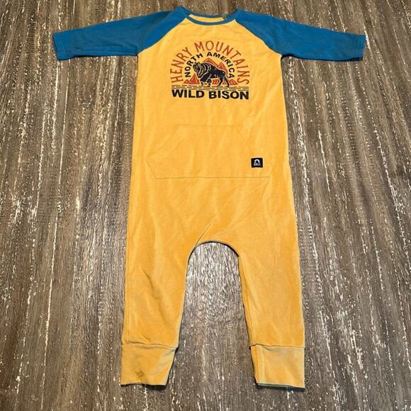Toddler Rags to Raches Long Sleeve One-Piece Romper Yellow Blue Bison, 2T - Picture 1 of 4